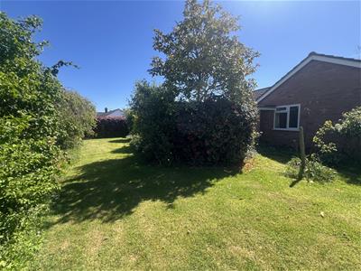 Picture 23